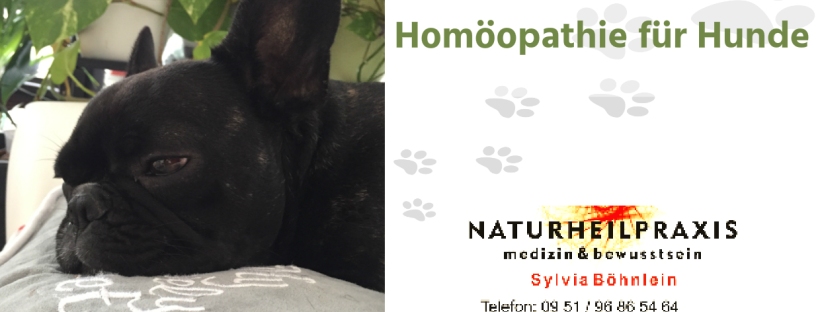 Homöopathie für Hunde - Naturheilpraxis Sylvia Böhnlein aus Bamberg